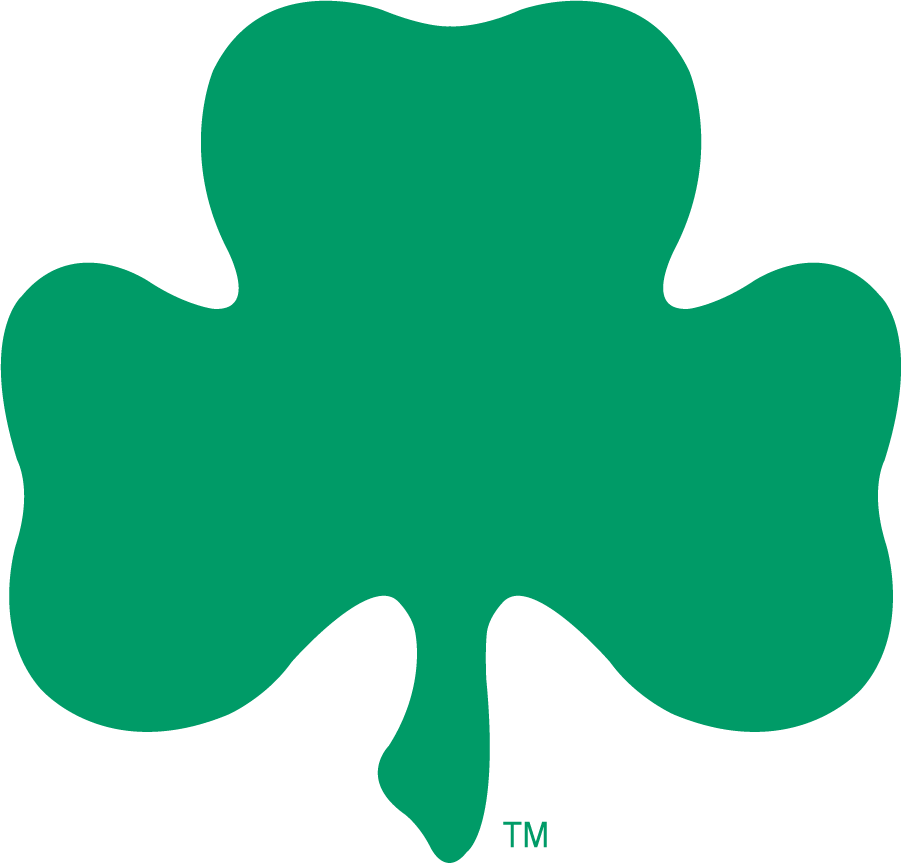 Notre Dame Fighting Irish 1994-2006 Secondary Logo t shirts iron on transfers
